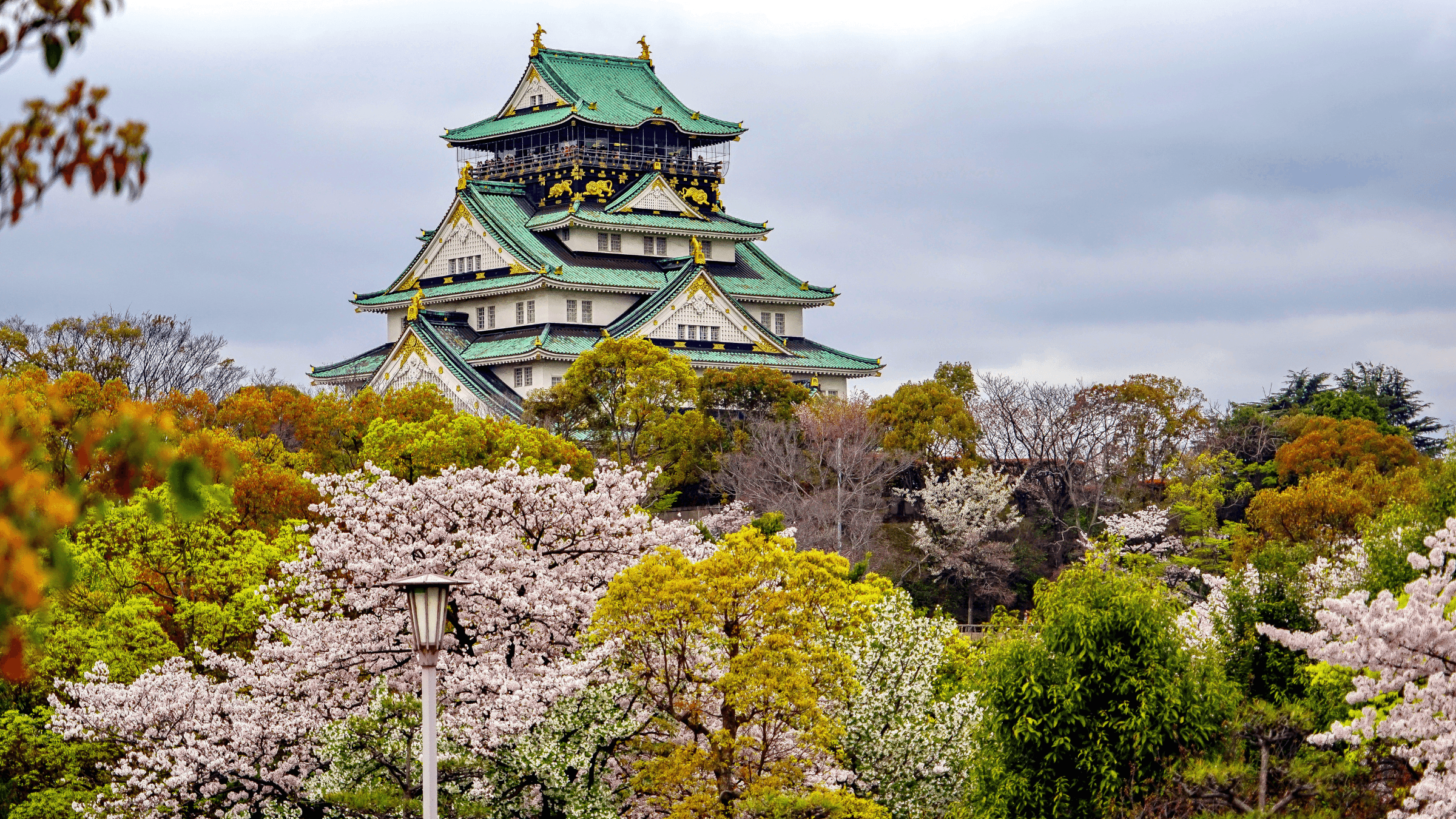 Cung đường vàng Nagoya - Nara - Osaka - Kyoto - Phú Sĩ - Tokyo